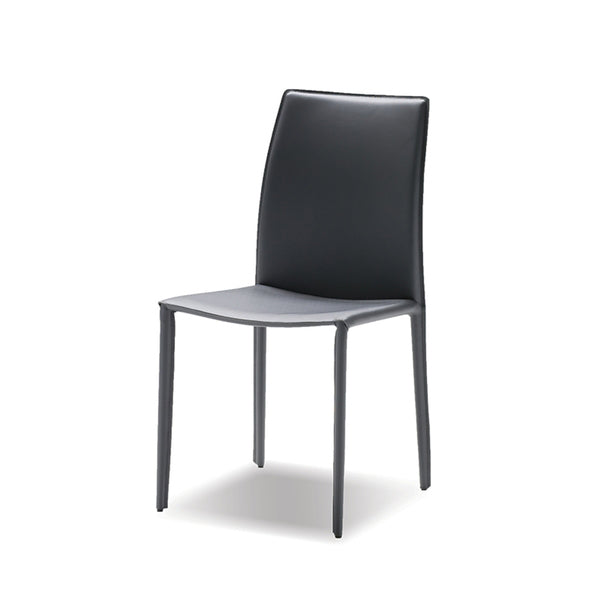 Kaz Dining Chair - Set of 2